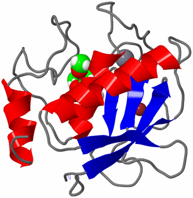 Image NMR Structure - model 1