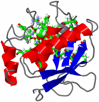 Image NMR Structure - model 1, sites