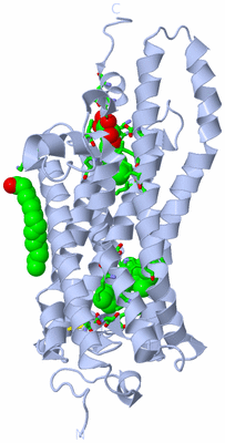 Image Biol. Unit 1 - sites