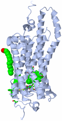 Image Biol. Unit 1 - sites