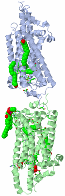 Image Asym. Unit - sites