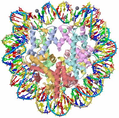 Image Asym./Biol. Unit