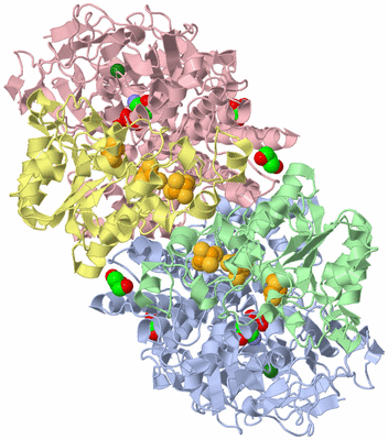 Image Asym./Biol. Unit