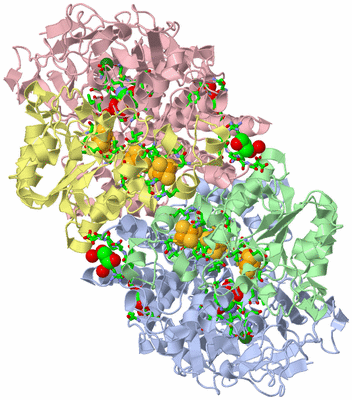 Image Asym./Biol. Unit - sites