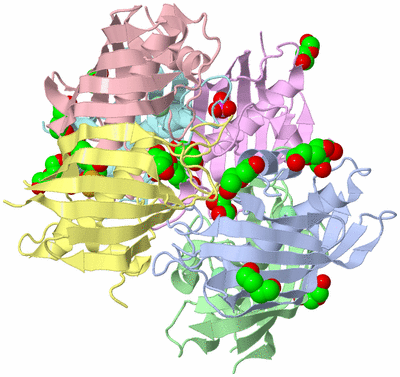 Image Biological Unit 1