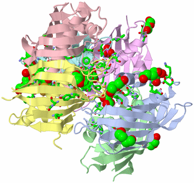 Image Biol. Unit 1 - sites