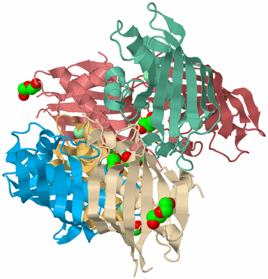 Image Biological Unit 2