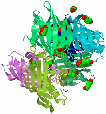 Image Biological Unit 3