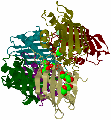 Image Biological Unit 4