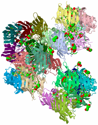 Image Asym. Unit - sites