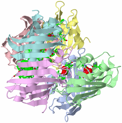 Image Biol. Unit 1 - sites