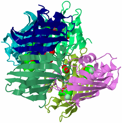 Image Biological Unit 3