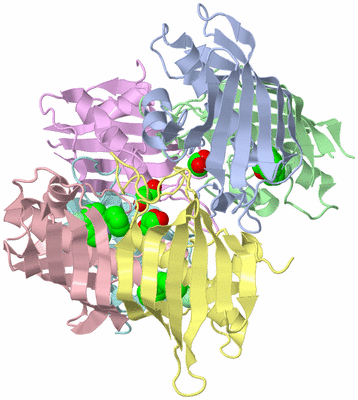 Image Biological Unit 1