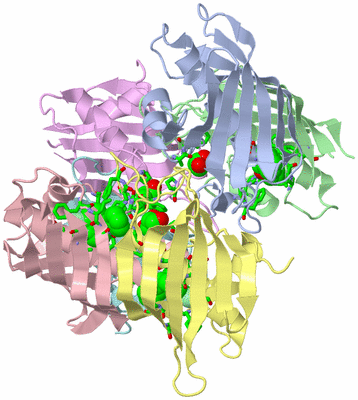 Image Biol. Unit 1 - sites