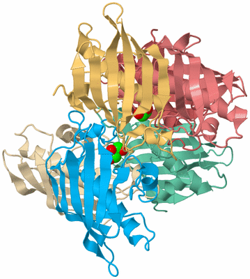 Image Biological Unit 2