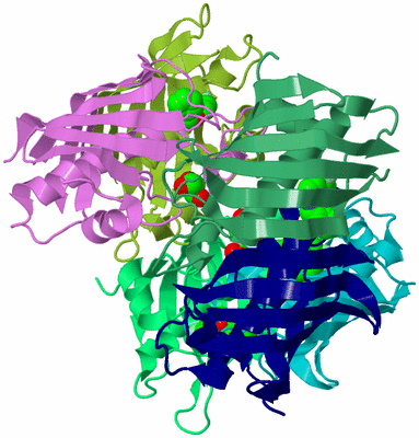 Image Biological Unit 3