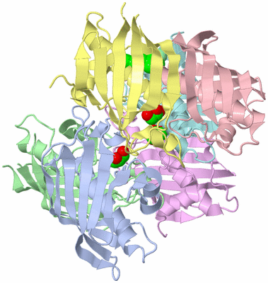 Image Biological Unit 1