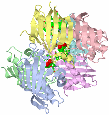 Image Biol. Unit 1 - sites