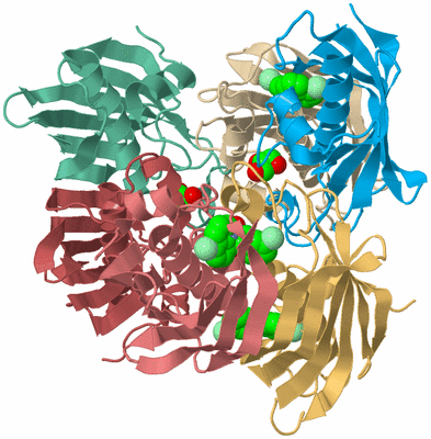 Image Biological Unit 2