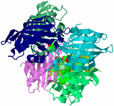 Image Biological Unit 3