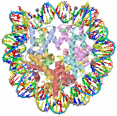 Image Asym./Biol. Unit