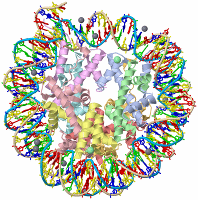 Image Asym./Biol. Unit