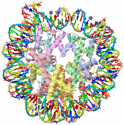 Image Asym./Biol. Unit - sites