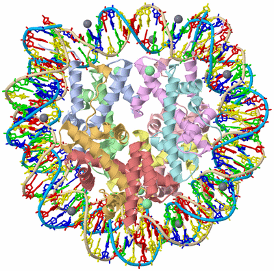 Image Asym./Biol. Unit