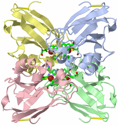 Image Asym./Biol. Unit - sites