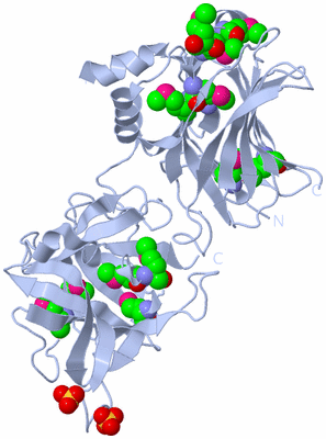 Image Biological Unit 1