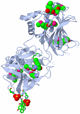 Image Biol. Unit 1 - sites