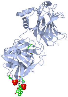 Image Biol. Unit 1 - sites