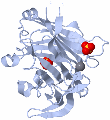 Image Biological Unit 1