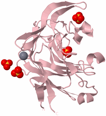 Image Biological Unit 3