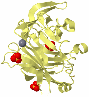 Image Biological Unit 4