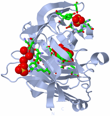 Image Biol. Unit 1 - sites