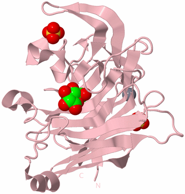 Image Biological Unit 3