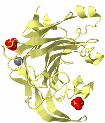 Image Biological Unit 4