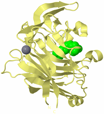 Image Biological Unit 4