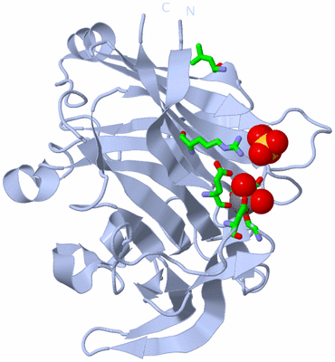 Image Biol. Unit 1 - sites