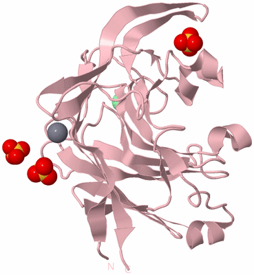 Image Biological Unit 3