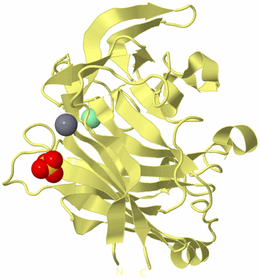 Image Biological Unit 4