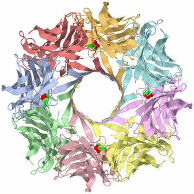 Image Asym./Biol. Unit