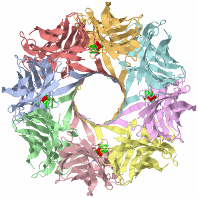 Image Asym./Biol. Unit - sites