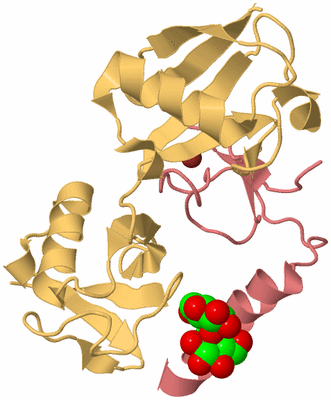 Image Biological Unit 3