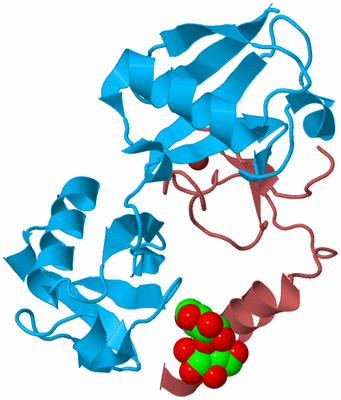 Image Biological Unit 4