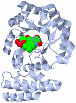 Image Biological Unit 1