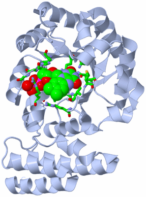 Image Biol. Unit 1 - sites