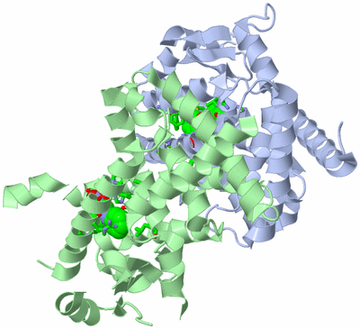 Image Asym./Biol. Unit - sites