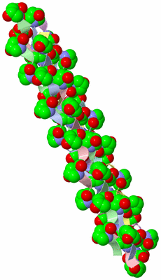 Image Asymmetric Unit